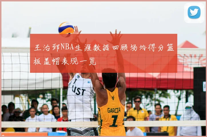 王治郅NBA生涯数据回顾场均得分篮板盖帽表现一览