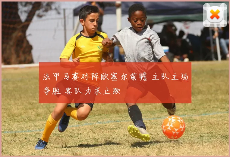 法甲马赛对阵欧塞尔前瞻 主队主场争胜 客队力求止跌
