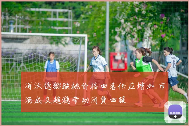 海沃德猕猴桃价格回落供应增加 市场成交趋稳带动消费回暖