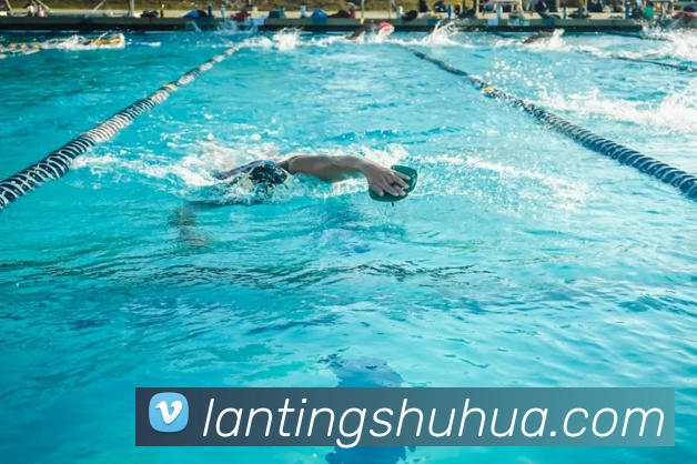 App Interface Preview